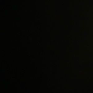 Meet your Posher, Audrey